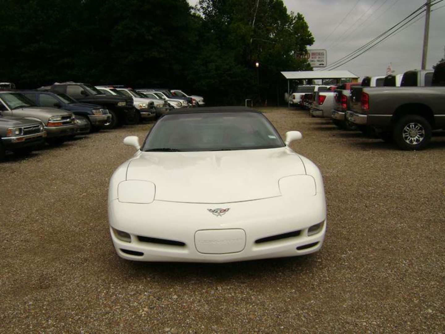 2nd Image of a 2003 CHEVROLET CORVETTE