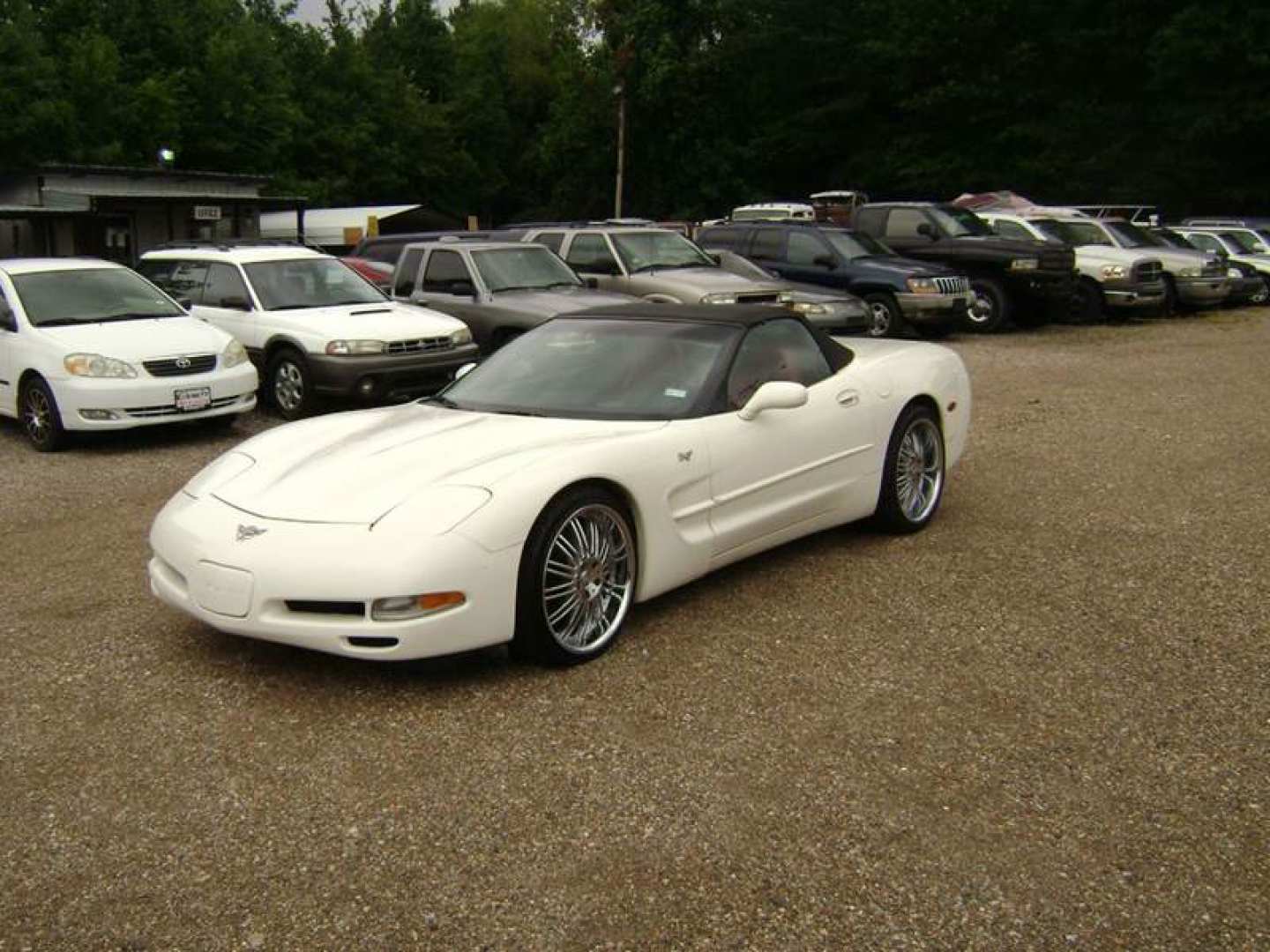 6th Image of a 2003 CHEVROLET CORVETTE