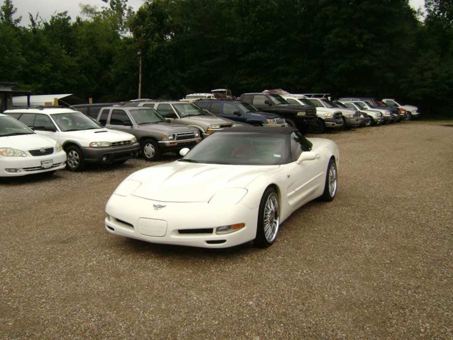 7th Image of a 2003 CHEVROLET CORVETTE