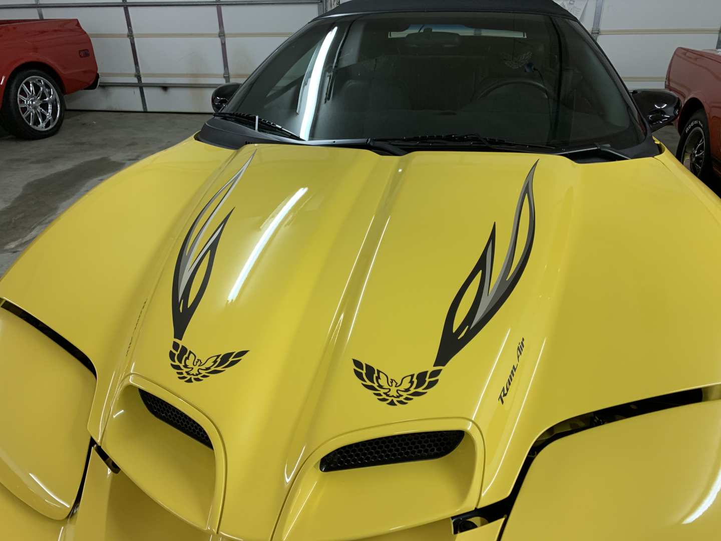 6th Image of a 2002 PONTIAC FIREBIRD TRANS AM