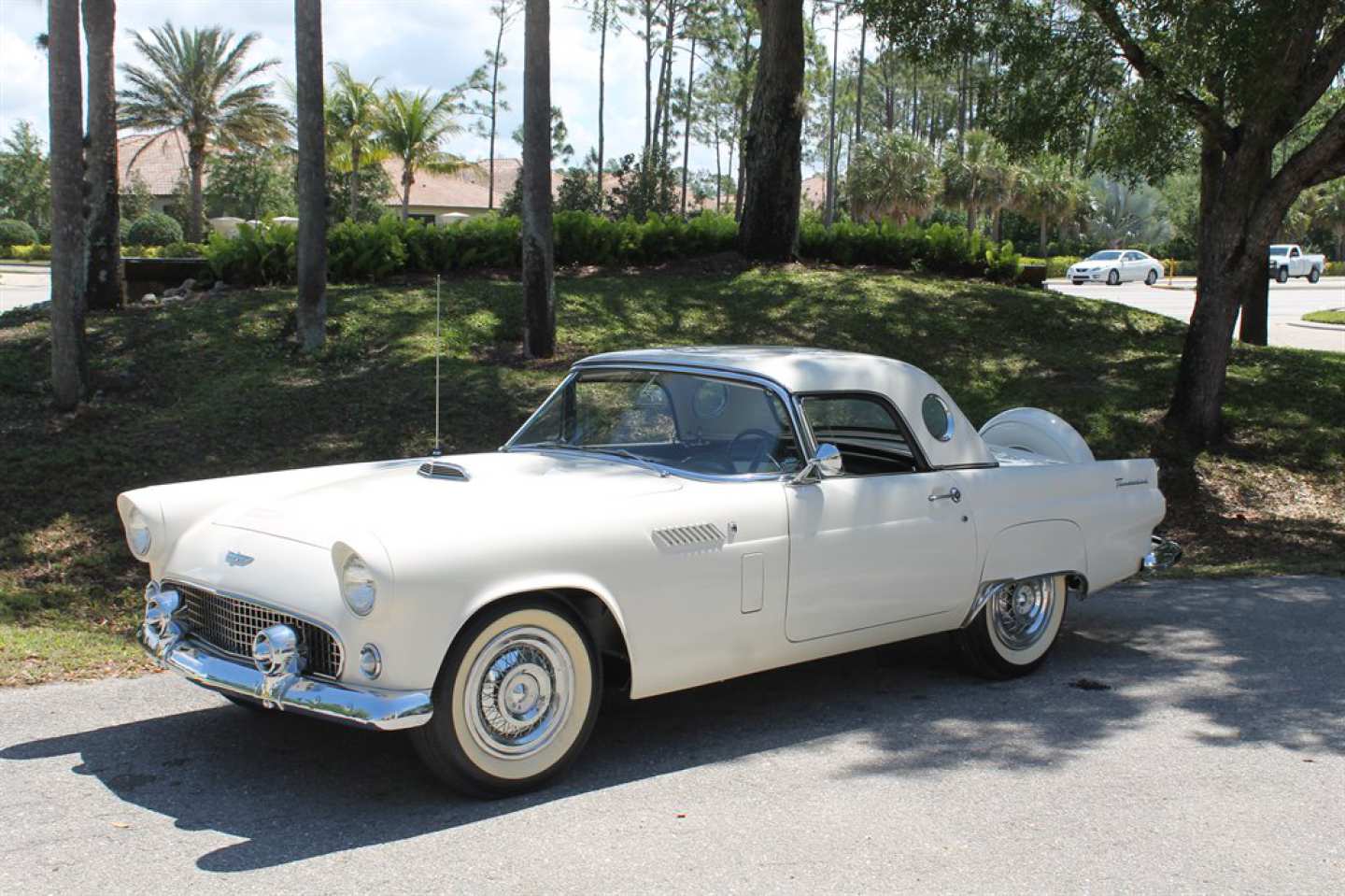 0th Image of a 1956 FORD THUNDERBIRD