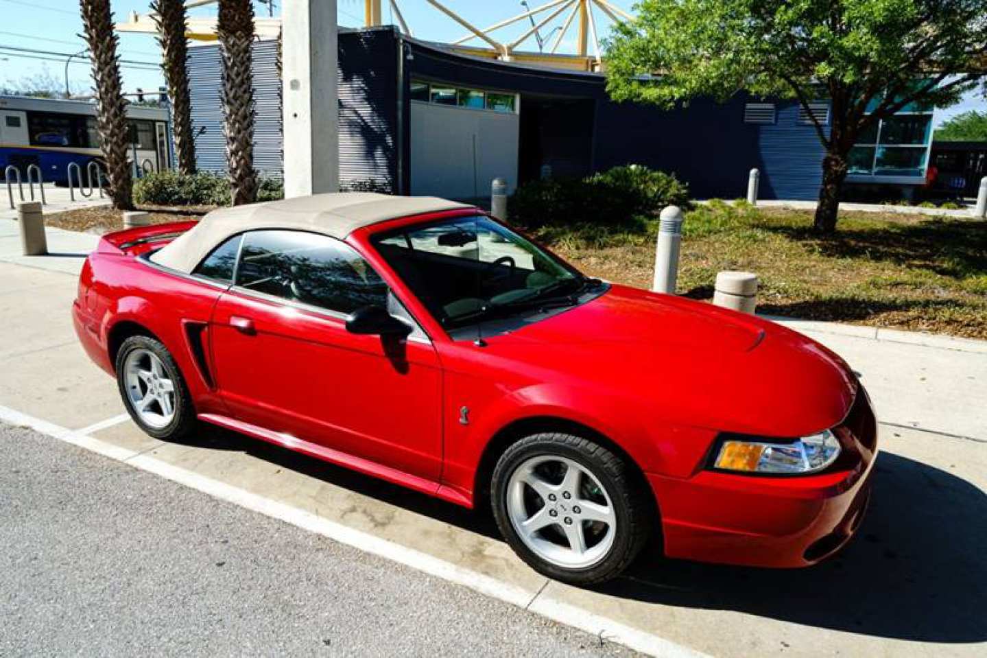 0th Image of a 1999 FORD MUSTANG SVT