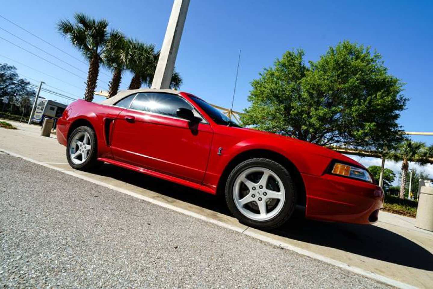 2nd Image of a 1999 FORD MUSTANG SVT