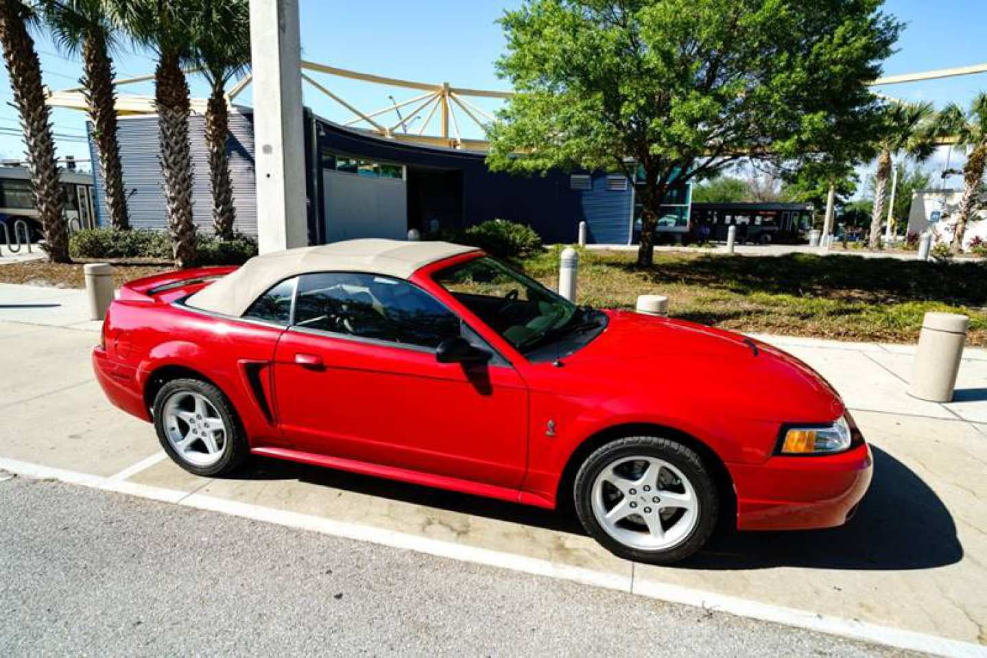 3rd Image of a 1999 FORD MUSTANG SVT