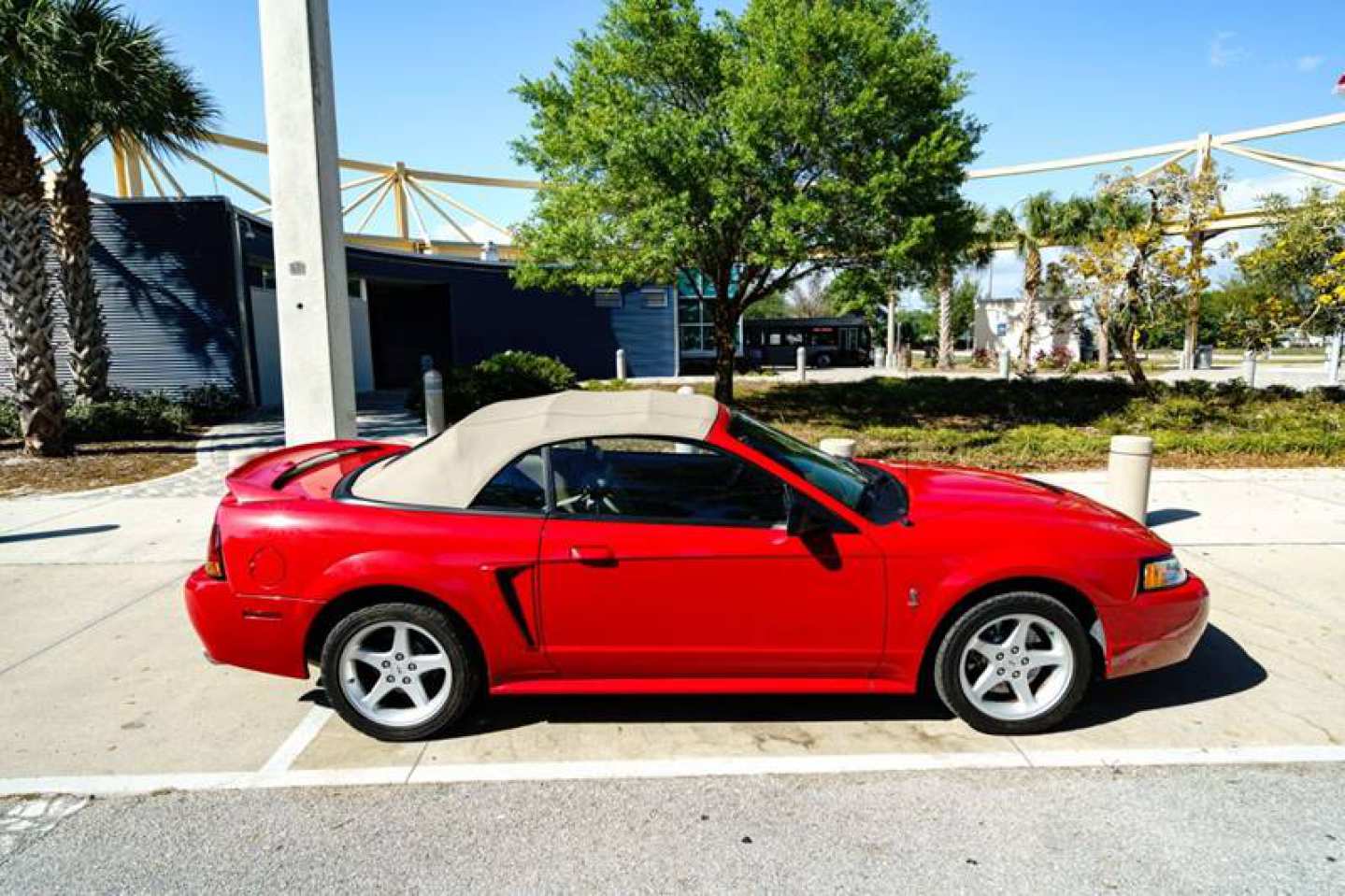 4th Image of a 1999 FORD MUSTANG SVT
