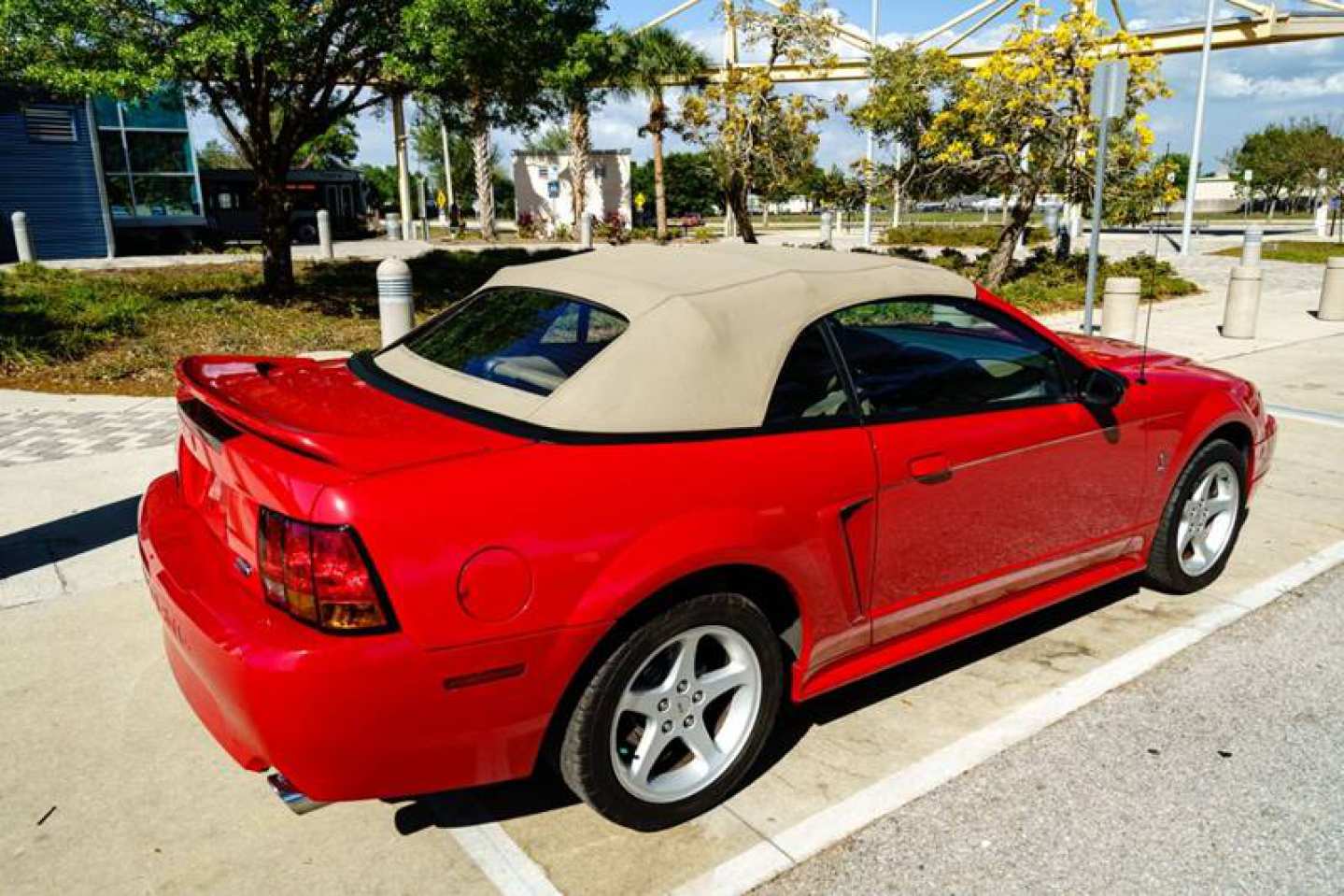 5th Image of a 1999 FORD MUSTANG SVT