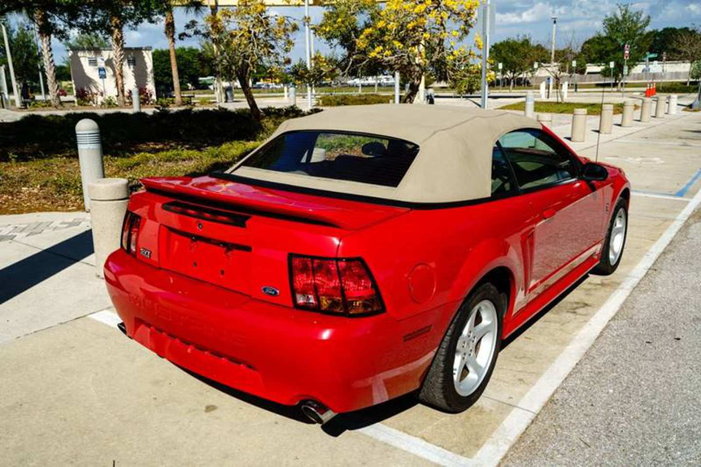 6th Image of a 1999 FORD MUSTANG SVT