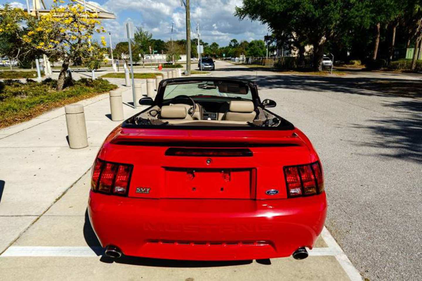 7th Image of a 1999 FORD MUSTANG SVT