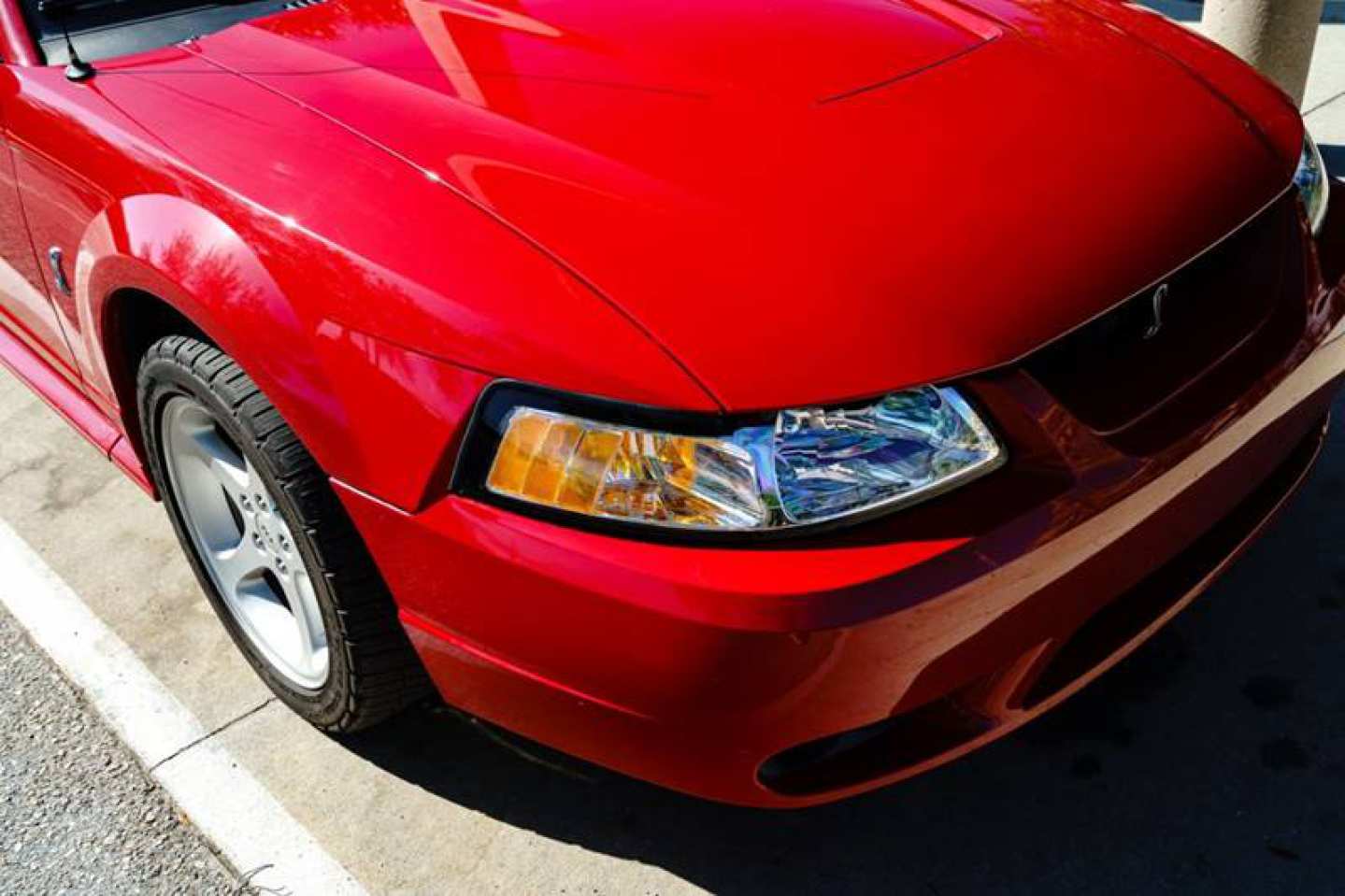 12th Image of a 1999 FORD MUSTANG SVT