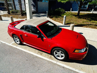 Image 2 of 19 of a 1999 FORD MUSTANG SVT