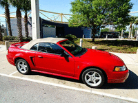 Image 4 of 19 of a 1999 FORD MUSTANG SVT