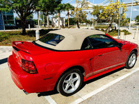 Image 6 of 19 of a 1999 FORD MUSTANG SVT