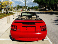 Image 8 of 19 of a 1999 FORD MUSTANG SVT