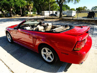 Image 10 of 19 of a 1999 FORD MUSTANG SVT
