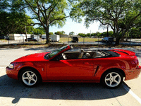 Image 11 of 19 of a 1999 FORD MUSTANG SVT