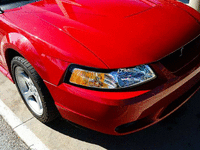 Image 13 of 19 of a 1999 FORD MUSTANG SVT