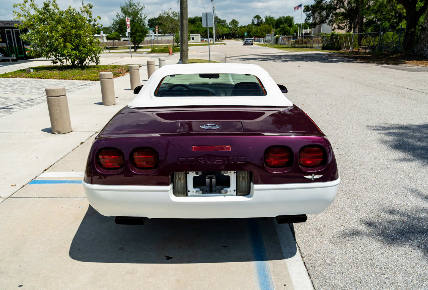 7th Image of a 1995 CHEVROLET CORVETTE PACE CAR