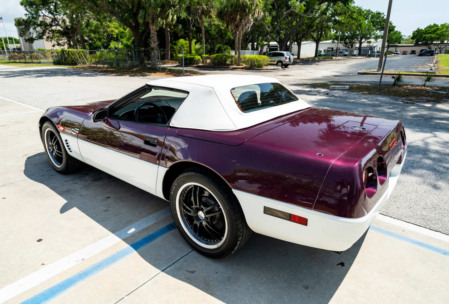 8th Image of a 1995 CHEVROLET CORVETTE PACE CAR