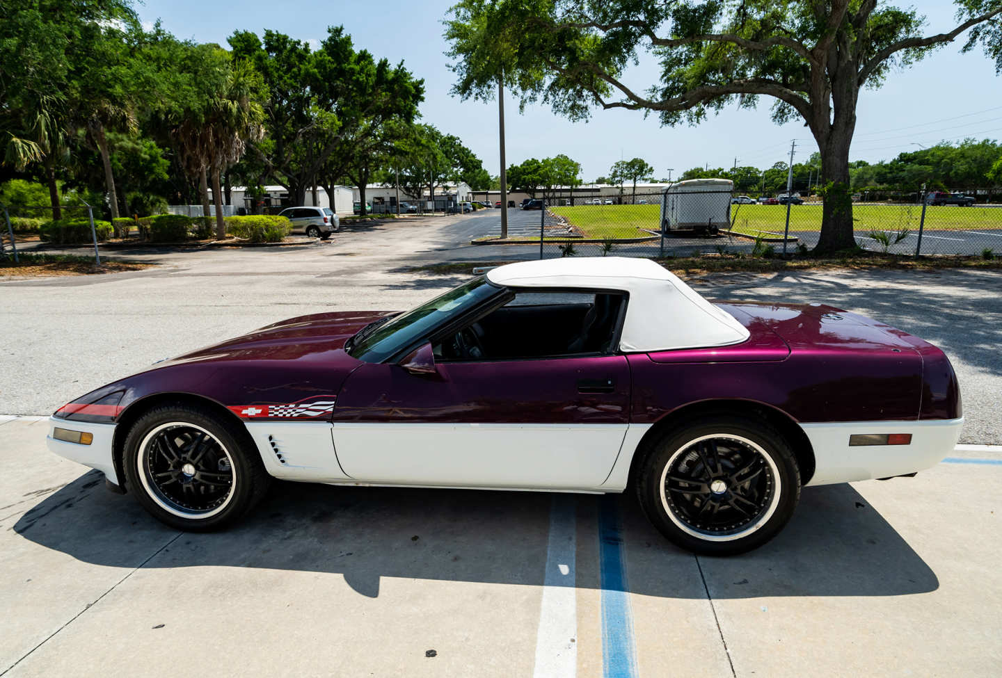 10th Image of a 1995 CHEVROLET CORVETTE PACE CAR