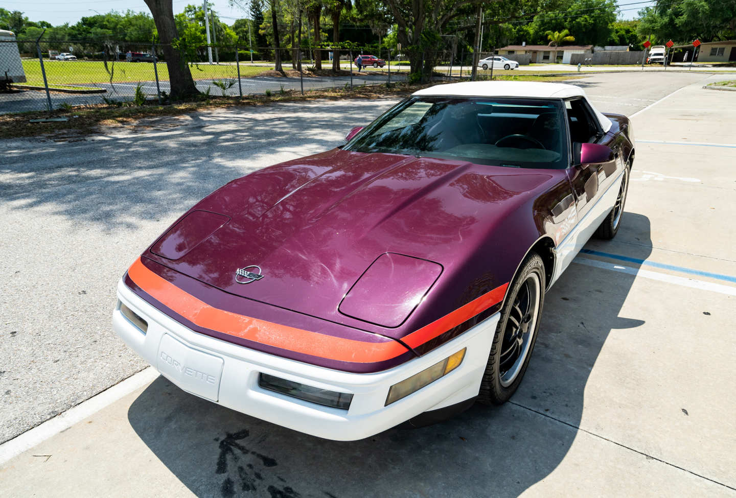 12th Image of a 1995 CHEVROLET CORVETTE PACE CAR