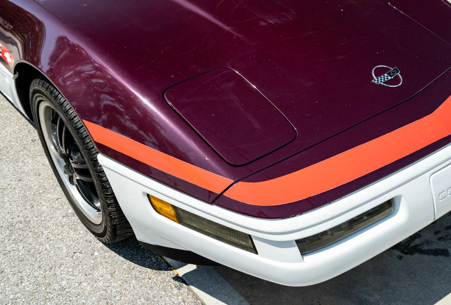 14th Image of a 1995 CHEVROLET CORVETTE PACE CAR