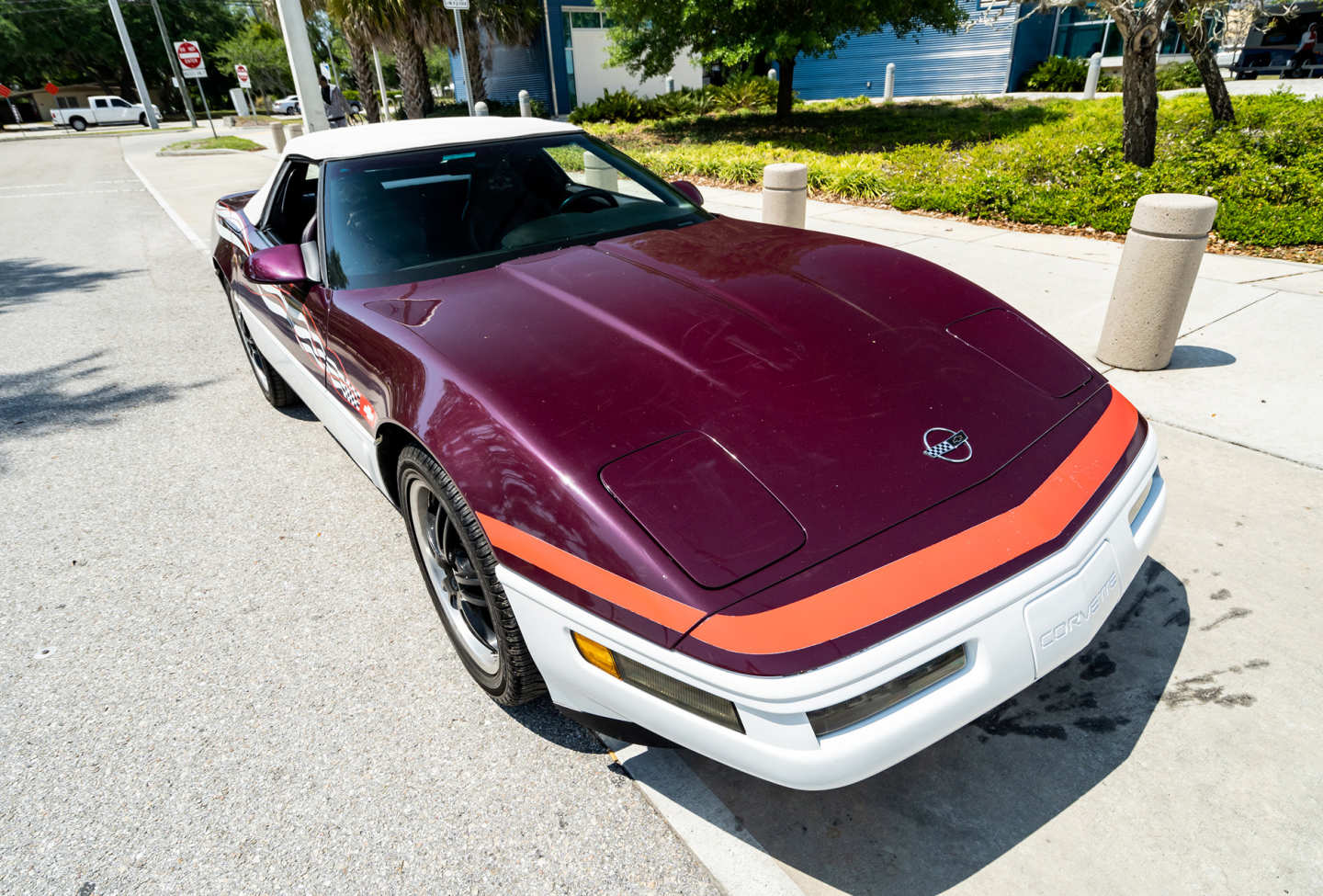 15th Image of a 1995 CHEVROLET CORVETTE PACE CAR