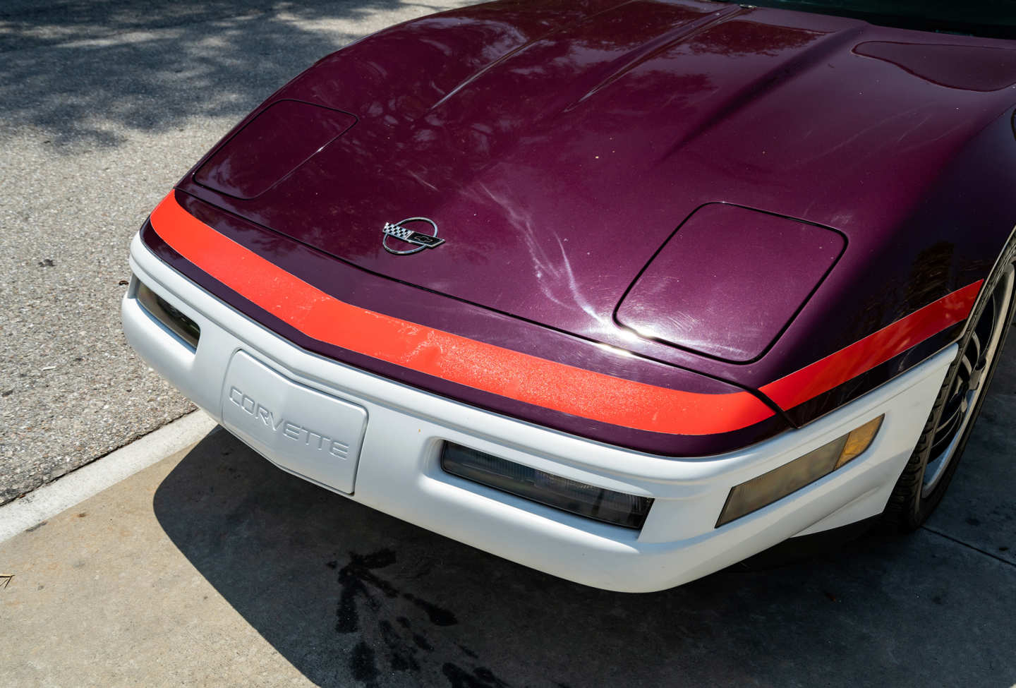 16th Image of a 1995 CHEVROLET CORVETTE PACE CAR