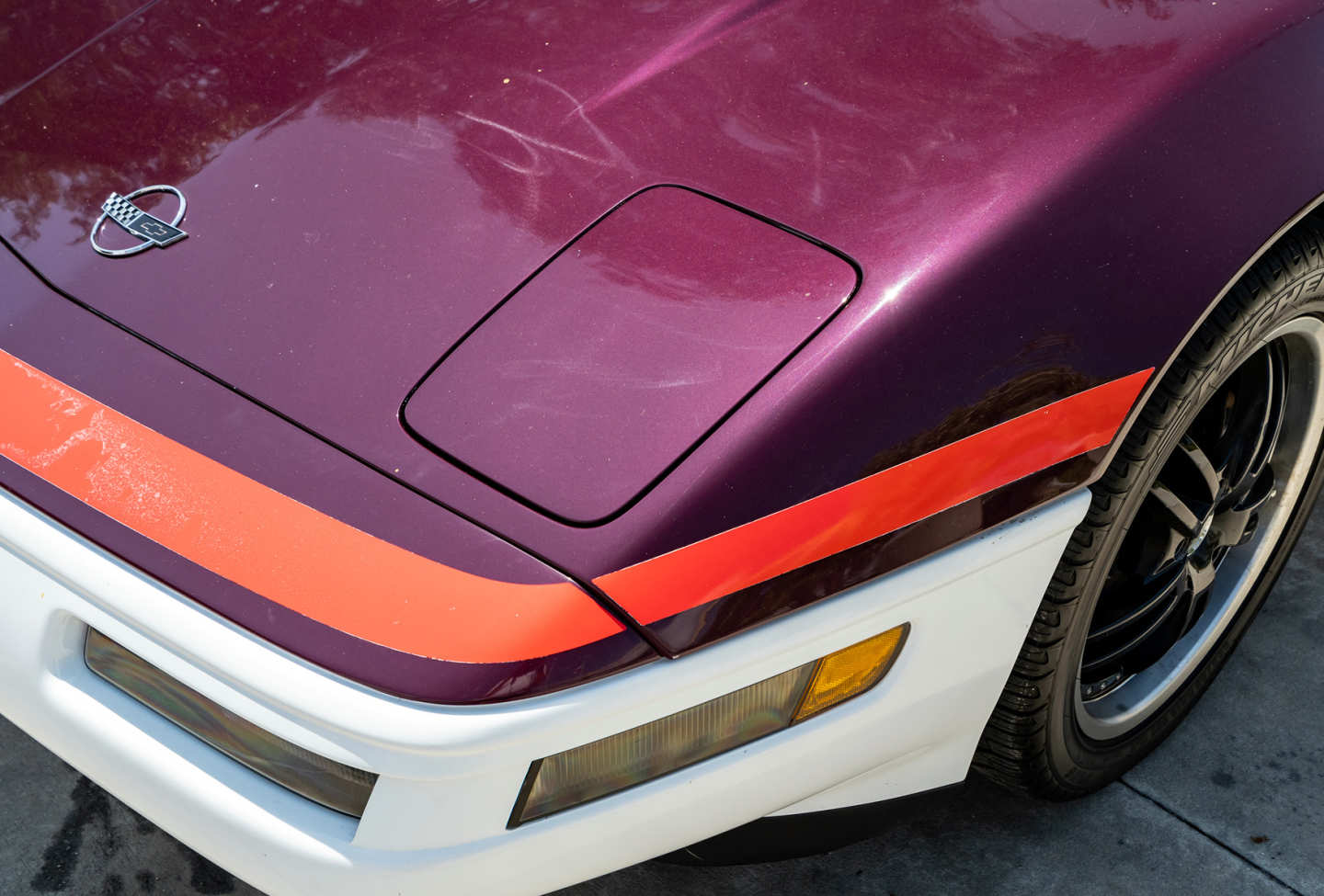 17th Image of a 1995 CHEVROLET CORVETTE PACE CAR