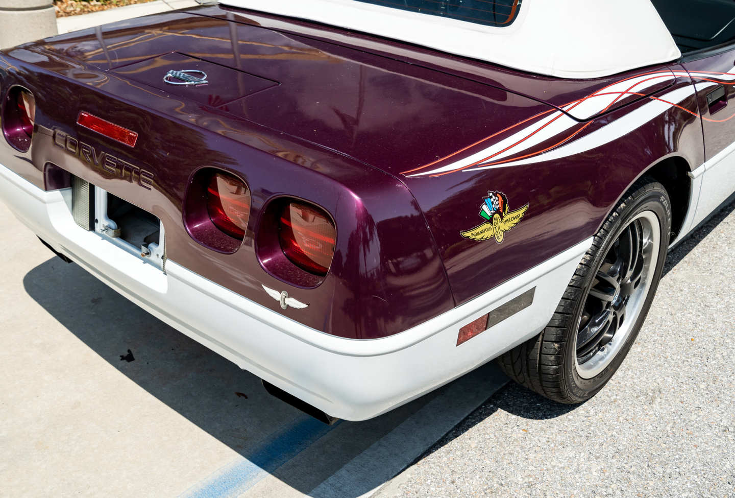 19th Image of a 1995 CHEVROLET CORVETTE PACE CAR