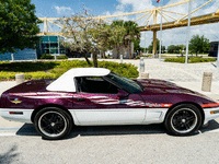 Image 5 of 38 of a 1995 CHEVROLET CORVETTE PACE CAR