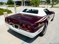 Image 7 of 38 of a 1995 CHEVROLET CORVETTE PACE CAR