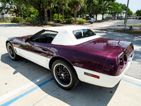 Image 9 of 38 of a 1995 CHEVROLET CORVETTE PACE CAR