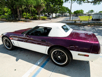 Image 10 of 38 of a 1995 CHEVROLET CORVETTE PACE CAR