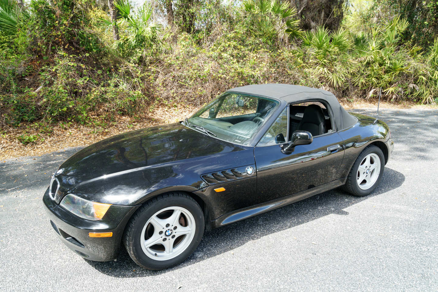 0th Image of a 1996 BMW Z3