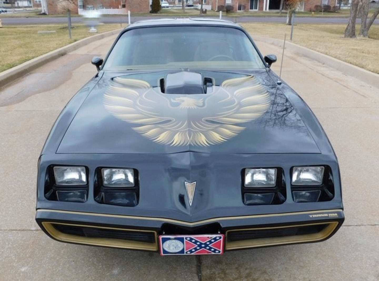 2nd Image of a 1979 PONTIAC TRANS AM SE Y84