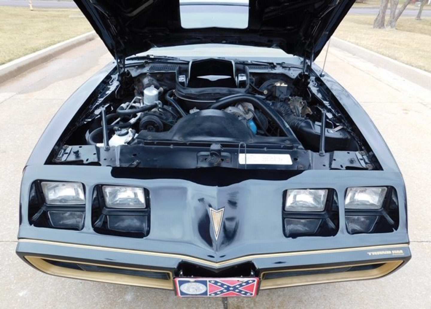 7th Image of a 1979 PONTIAC TRANS AM SE Y84