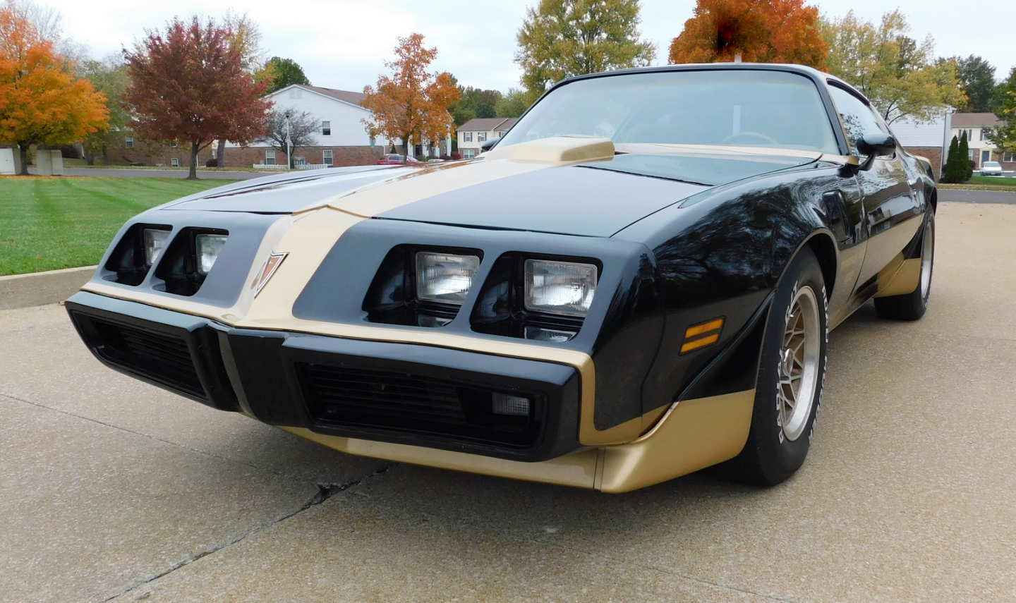 0th Image of a 1979 PONTIAC TRANSAM