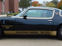 Image 6 of 13 of a 1979 PONTIAC TRANSAM