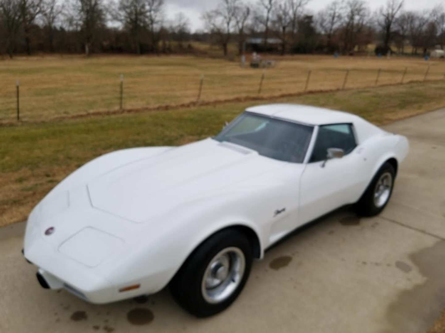 0th Image of a 1975 CHEVROLET CORVETTE