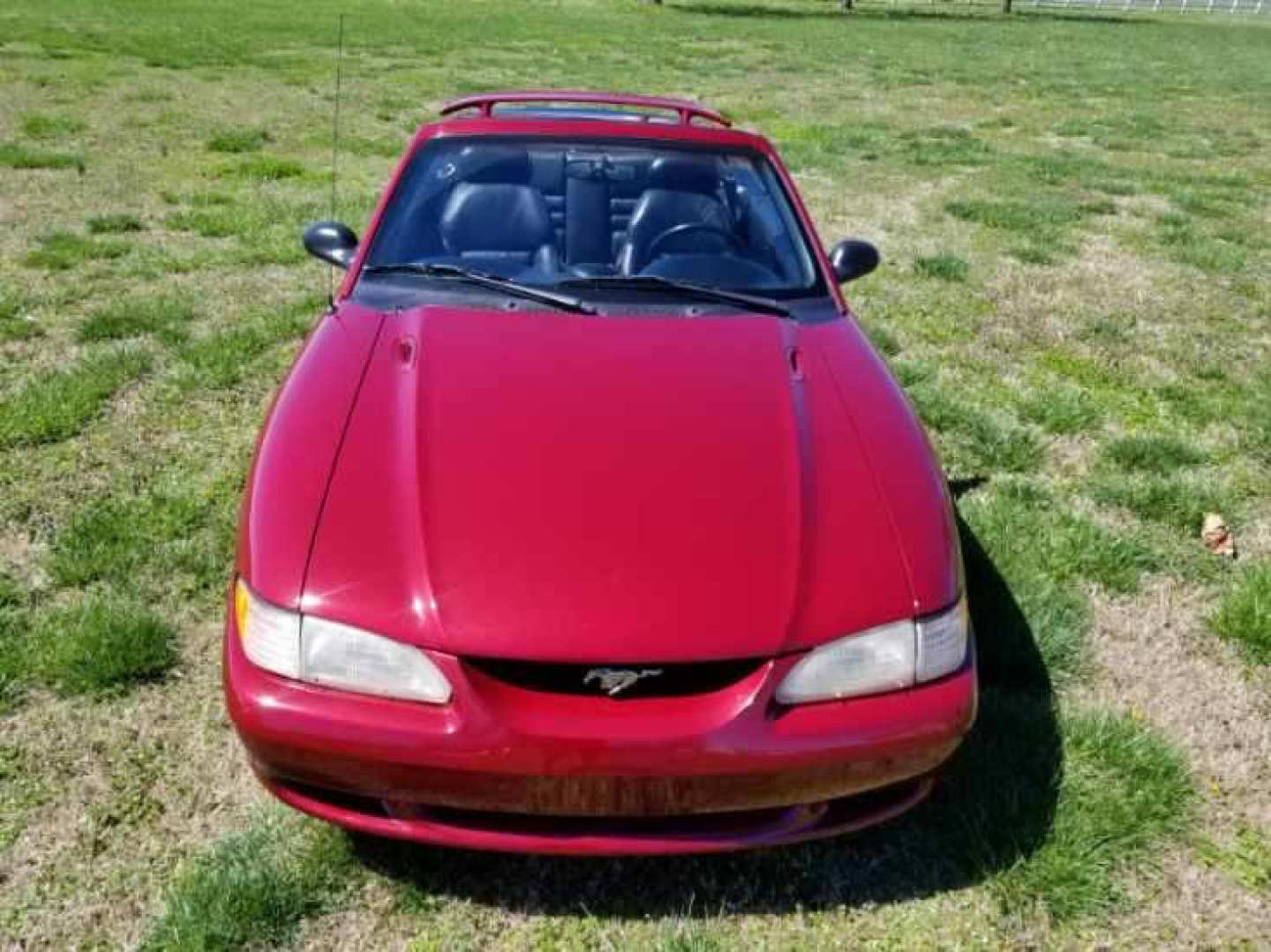 5th Image of a 1996 FORD MUSTANG