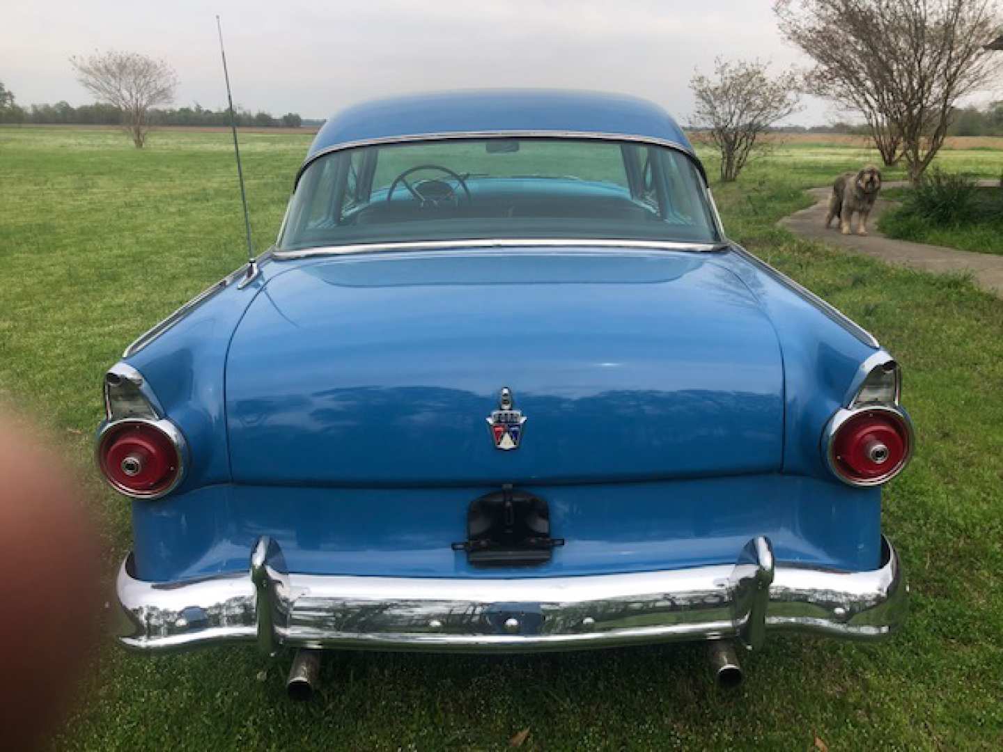 2nd Image of a 1955 FORD FAIRLANE