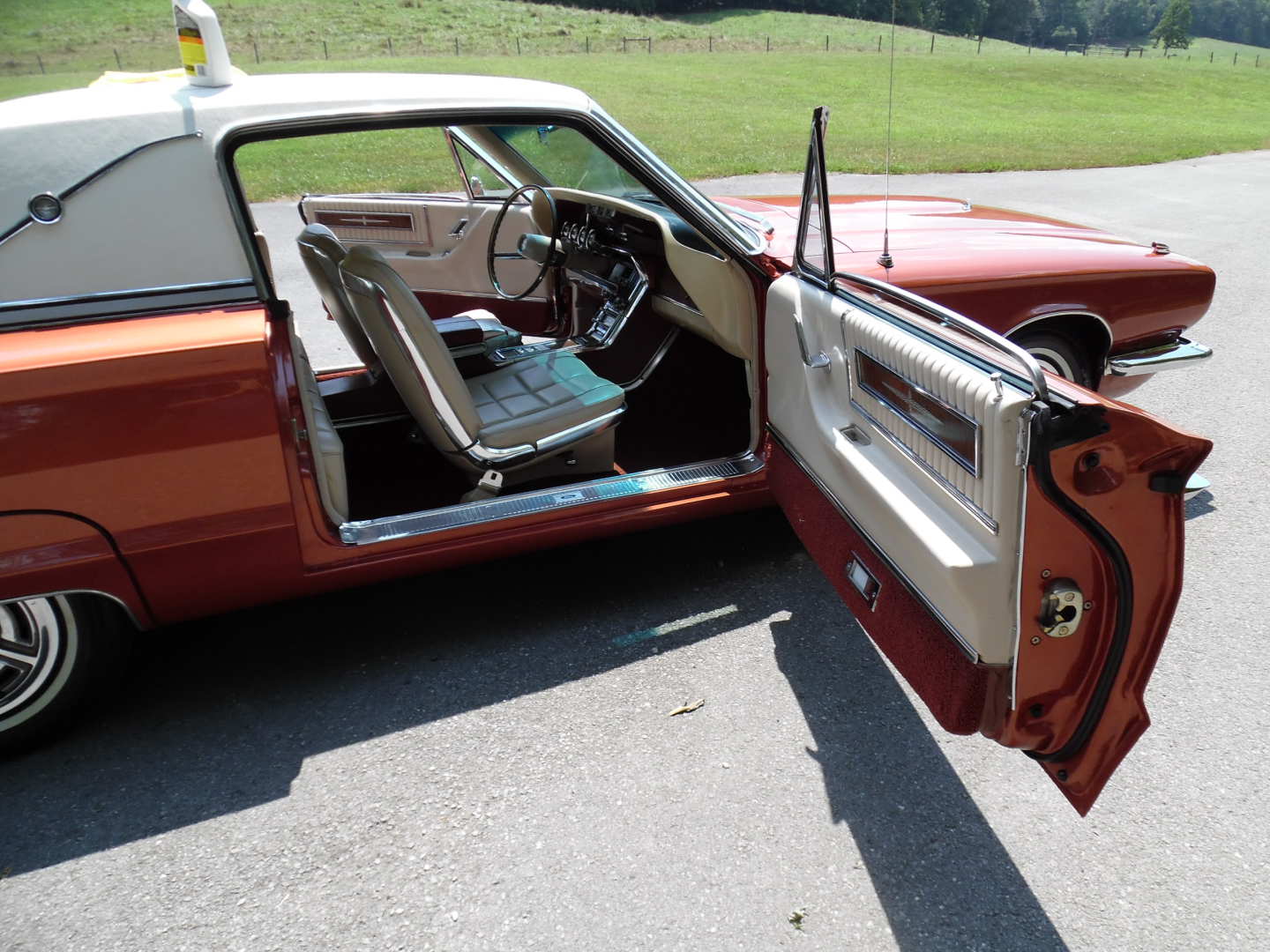 18th Image of a 1966 FORD THUNDERBIRD