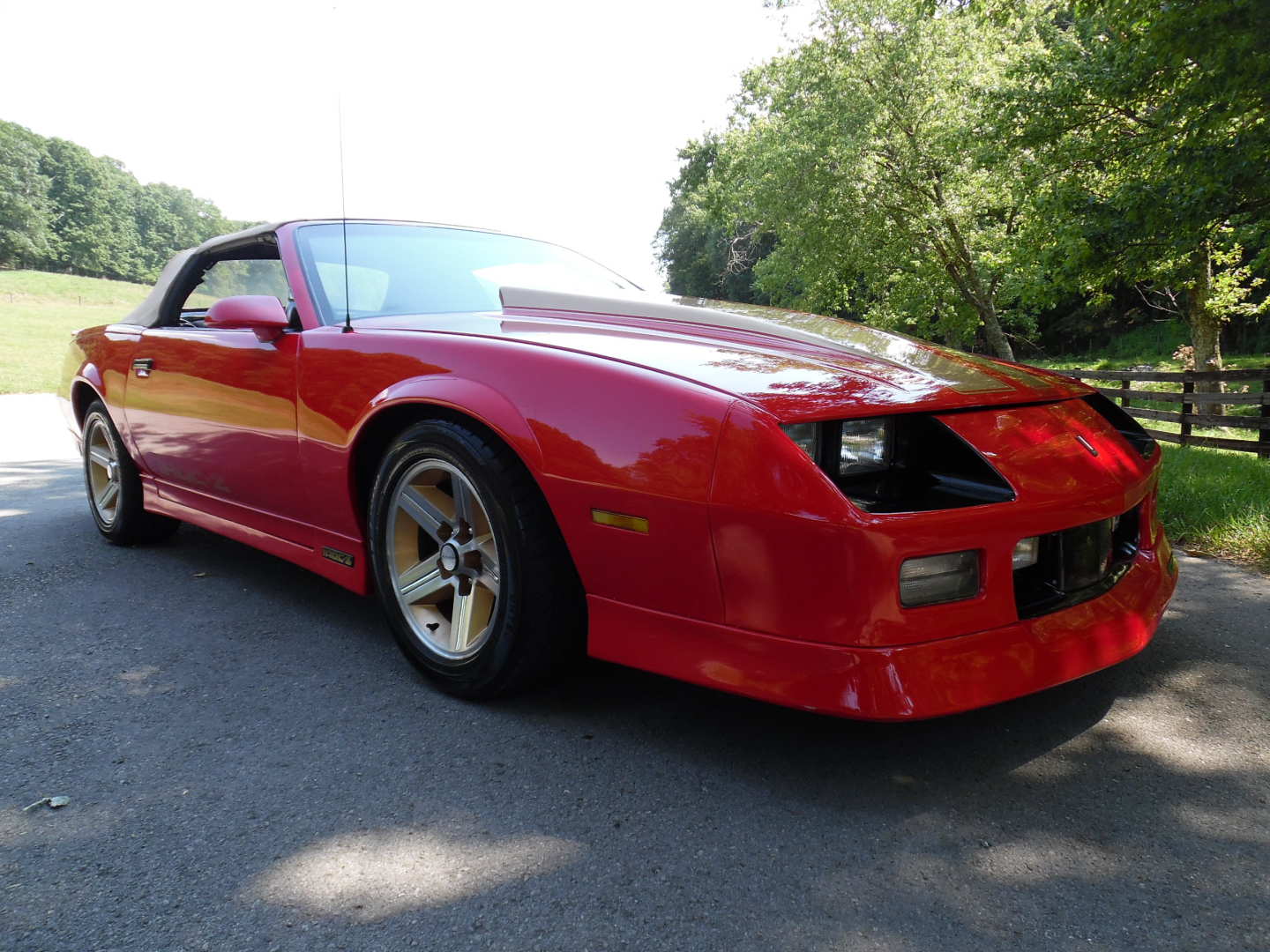 4th Image of a 1989 CHEVROLET CAMARO IROC-Z