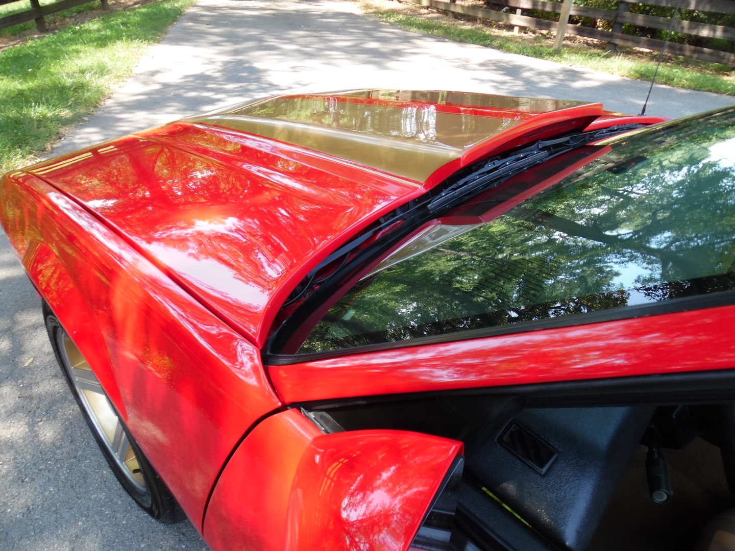 8th Image of a 1989 CHEVROLET CAMARO IROC-Z