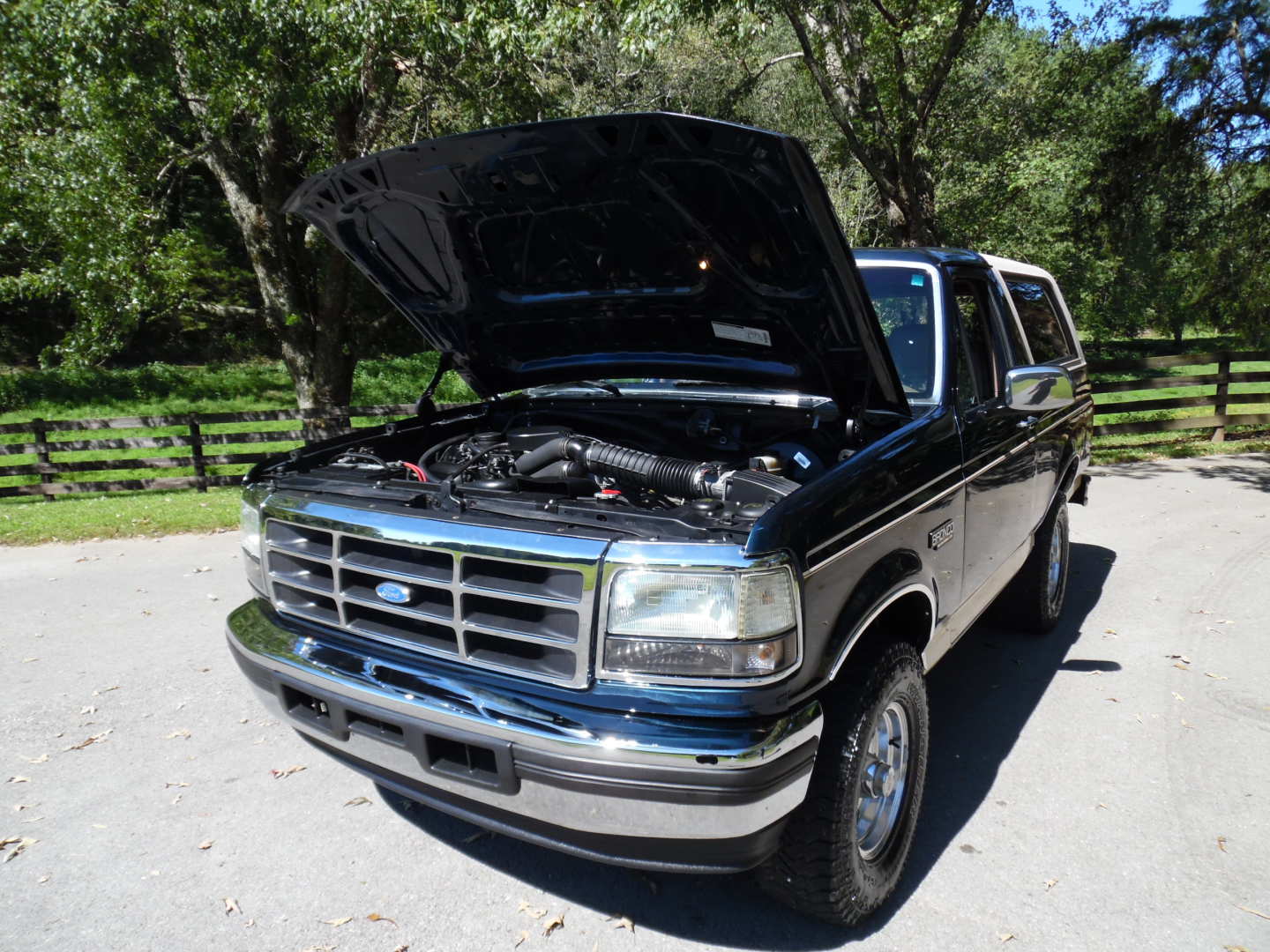 5th Image of a 1996 FORD BRONCO EDDIE BAUER