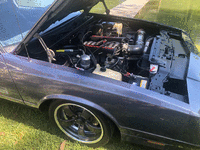 Image 12 of 13 of a 1984 CHEVROLET MONTE CARLO SS