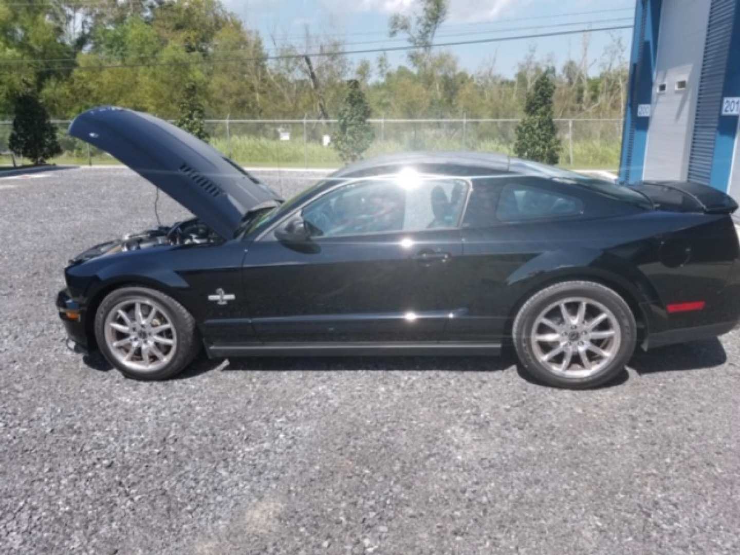 2nd Image of a 2009 FORD MUSTANG SHELBY GT500KR