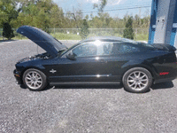 Image 3 of 8 of a 2009 FORD MUSTANG SHELBY GT500KR