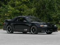 Image 1 of 15 of a 2004 FORD MUSTANG ROADSTER EDITION