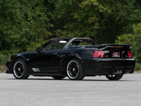 Image 2 of 15 of a 2004 FORD MUSTANG ROADSTER EDITION